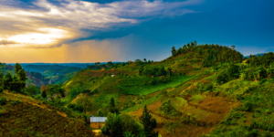 Rwanda - At the Rwanda International Education Fair
